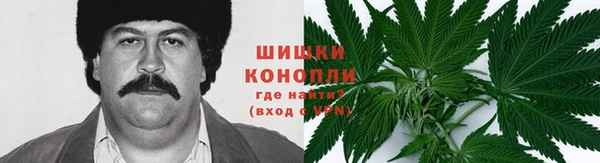 МДПВ Магас