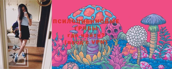МДПВ Магас
