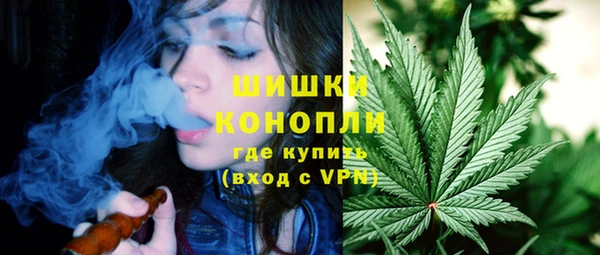 стафф Медногорск